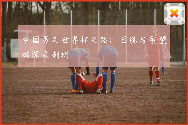 中国男足世界杯之路：困境与希望的深度剖析