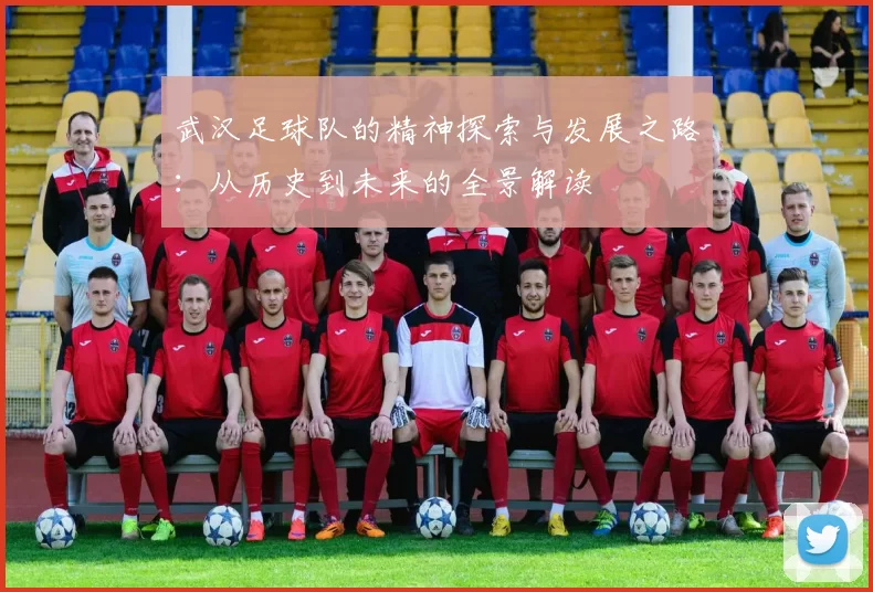 武汉足球队的精神探索与发展之路:从历史到未来的全景解读