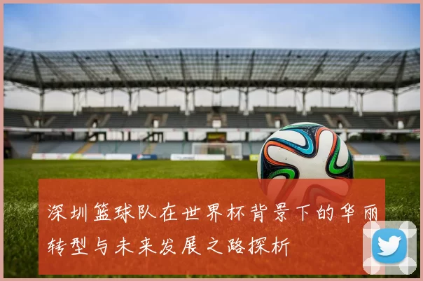 深圳篮球队在世界杯背景下的华丽转型与未来发展之路探析