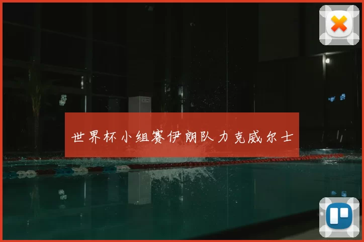 世界杯小组赛伊朗队力克威尔士
