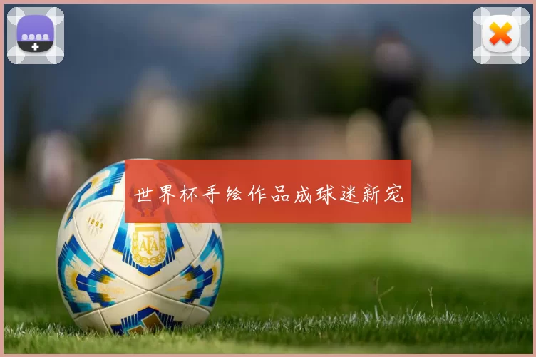世界杯手绘作品成球迷新宠