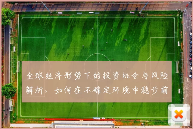 全球经济形势下的投资机会与风险解析，如何在不确定环境中稳步前行