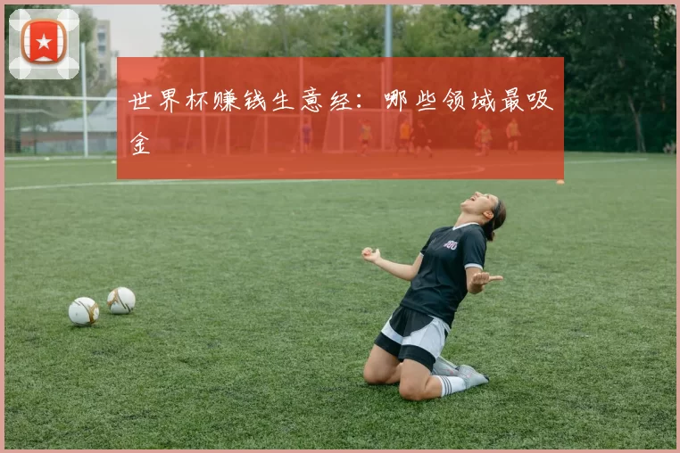 世界杯赚钱生意经：哪些领域最吸金