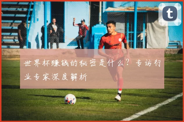 世界杯赚钱的秘密是什么？专访行业专家深度解析
