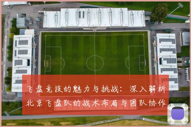 飞盘竞技的魅力与挑战：深入解析北京飞盘队的战术布局与团队协作