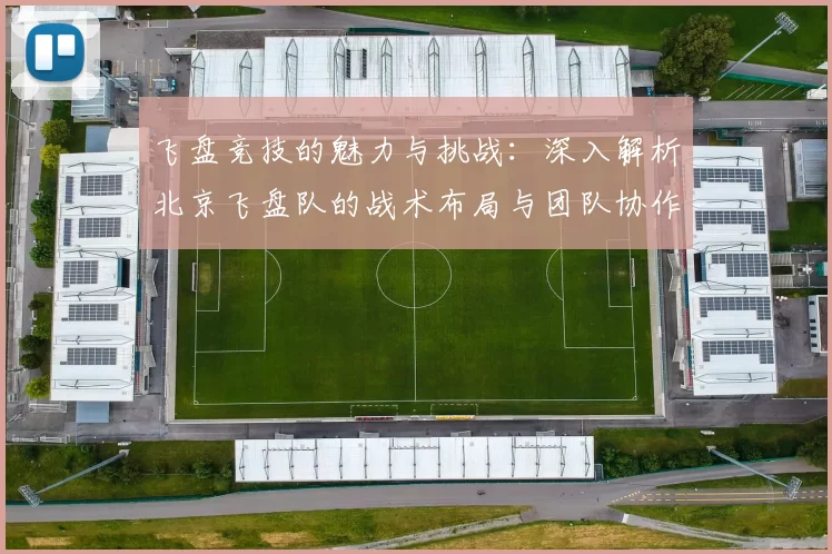 飞盘竞技的魅力与挑战：深入解析北京飞盘队的战术布局与团队协作