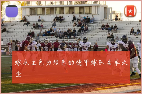 球衣主色为绿色的德甲球队名单大全