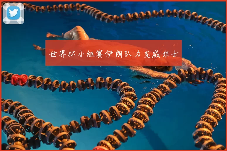 世界杯小组赛伊朗队力克威尔士