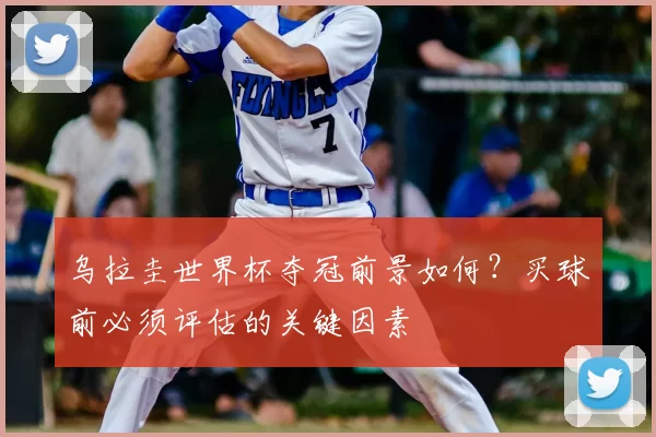 乌拉圭世界杯夺冠前景如何?买球前必须评估的关键因素