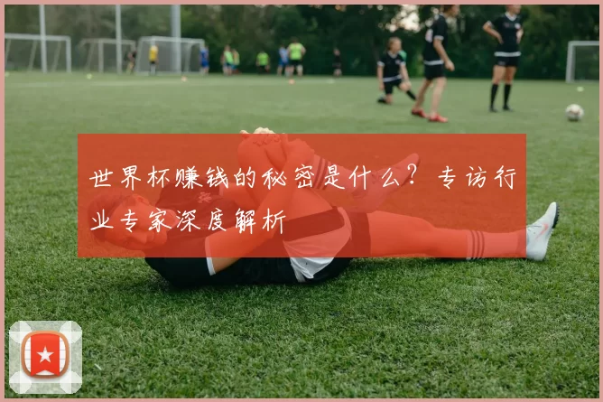 世界杯赚钱的秘密是什么？专访行业专家深度解析