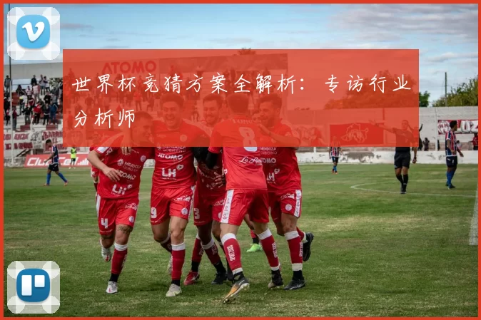 世界杯竞猜方案全解析：专访行业分析师