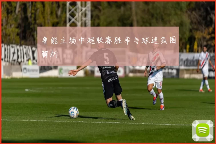 鲁能主场中超联赛胜率与球迷氛围解析